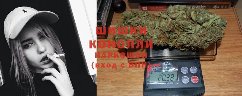 купить наркоту  Дудинка  Конопля White Widow 